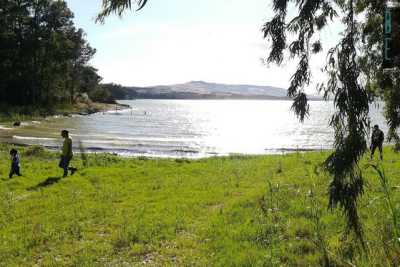Non solo pasquette: tra balene, laghi e natura alla scoperta della Diga di San Giuliano